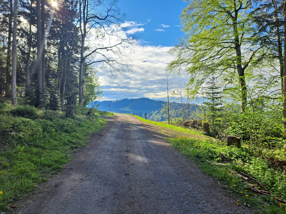 hiking path