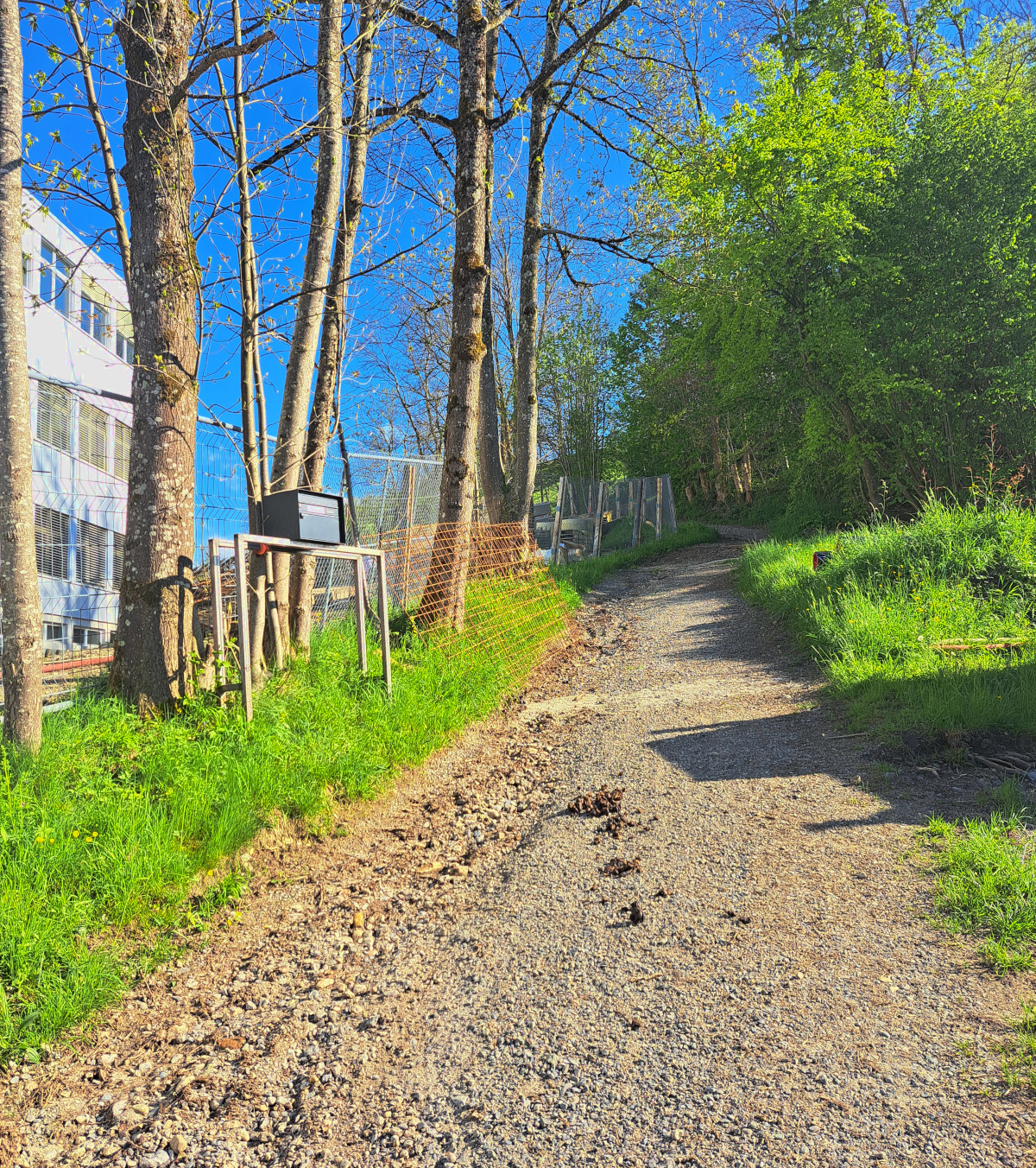 fist slope from below