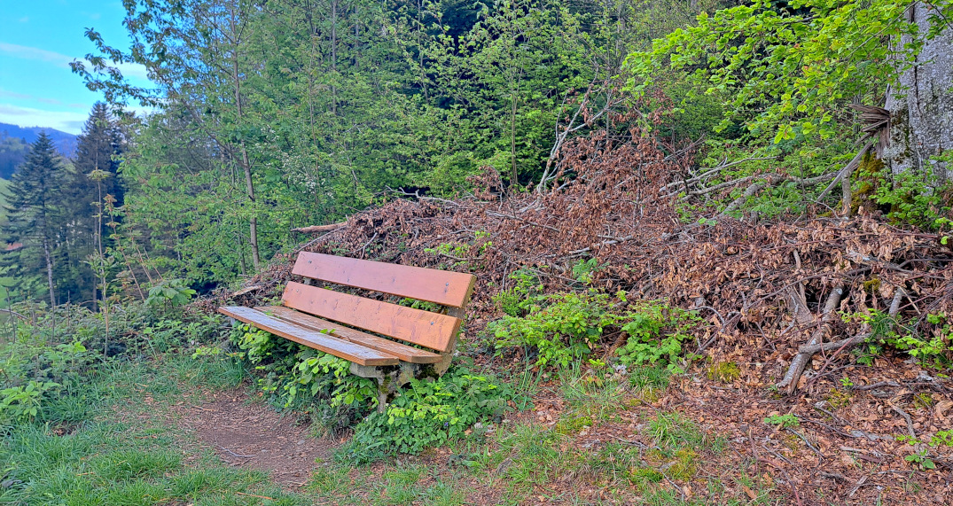 a bench for a breather